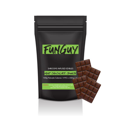 FunGuy Shroom Chocolates – 1000mg